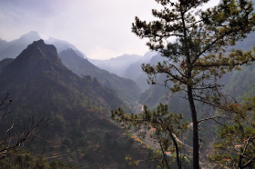 Madeira Copyright 2010 Dirk Paul : Urlaub Madeira 2010 Portugal