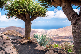 Lanzarote 2013 by Dirk Paul