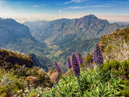 Madeira, Portugal,  Copyright 2023 by Dirk Paul : 2023, Madeira, Wikinger