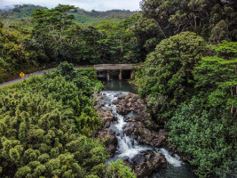 Road to Hana - Maui - Hawaii - Copyright by Dirk Paul