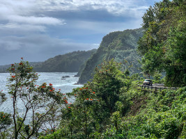 Road to Hana - Maui - Hawaii - Copyright by Dirk Paul