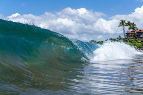 Maui - Hawaii - Copyright by Dirk Paul