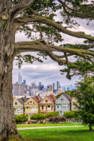 Painted Ladies - San Francisco - Copyright by Dirk Paul