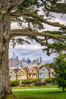 Painted Ladies - San Francisco - Copyright by Dirk Paul