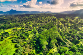 Kauai - Hawaii - Copyright by Dirk Paul