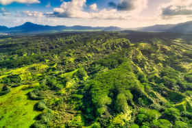 Kauai - Hawaii - Copyright by Dirk Paul