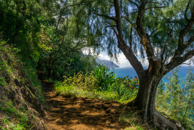 Kalalau Trail - Kaui - Hawaii - Copyright by Dirk Paul