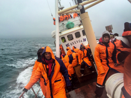 Walbeobachtungstour Húsavík Island 2015 Copyright by Dirk Paul : 2015, Island