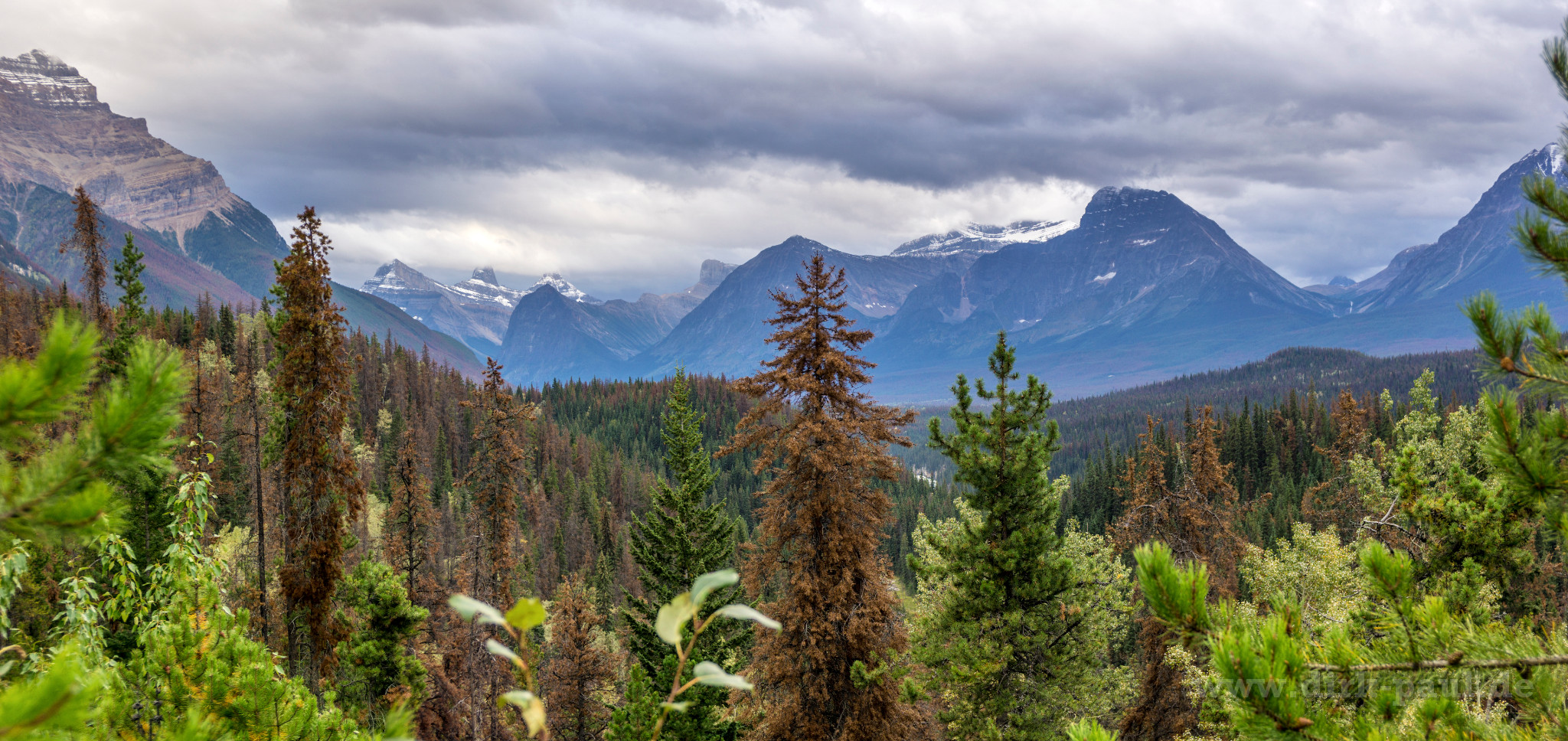  DSC2707-Pano-Bearbeitet-3