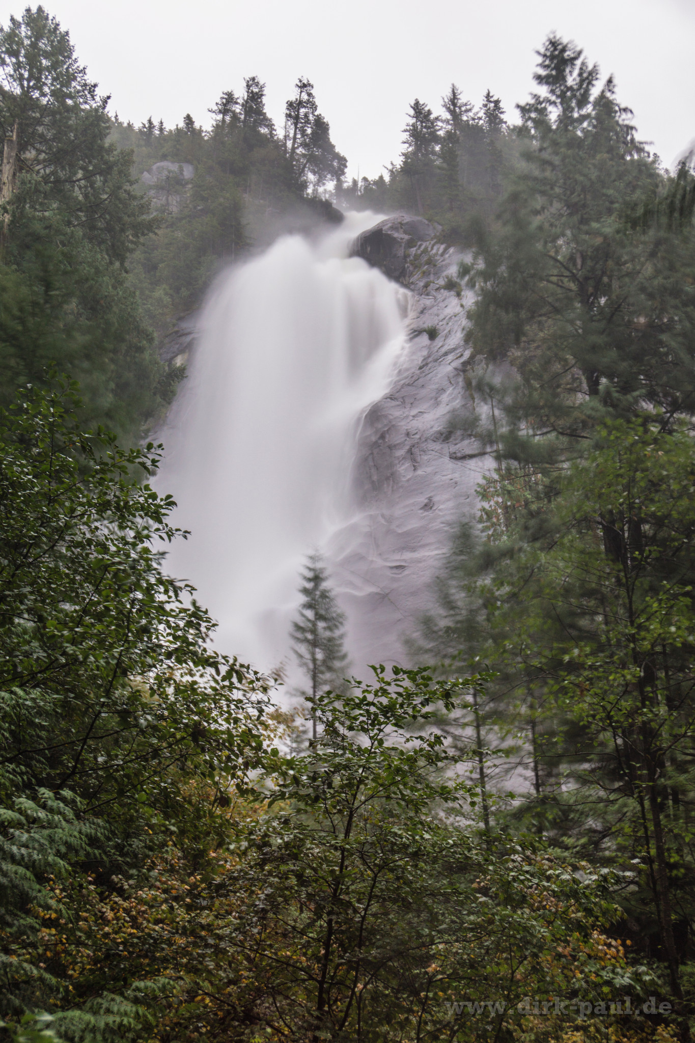  DSC3275-Bearbeitet