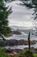 Kanada - Ucluelet - Copyright by Dirk Paul : 2018, Kanada