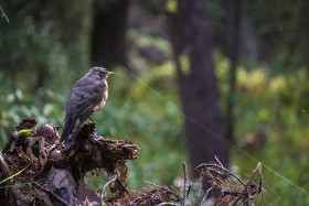 _DSC5388-Bearbeitet.jpg