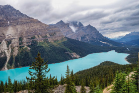 Kanada - Peyto Lake - Copyright by Dirk Paul : 2018, Kanada