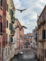 Venedig - Copyright by Dirk Paul : Venedig 2026