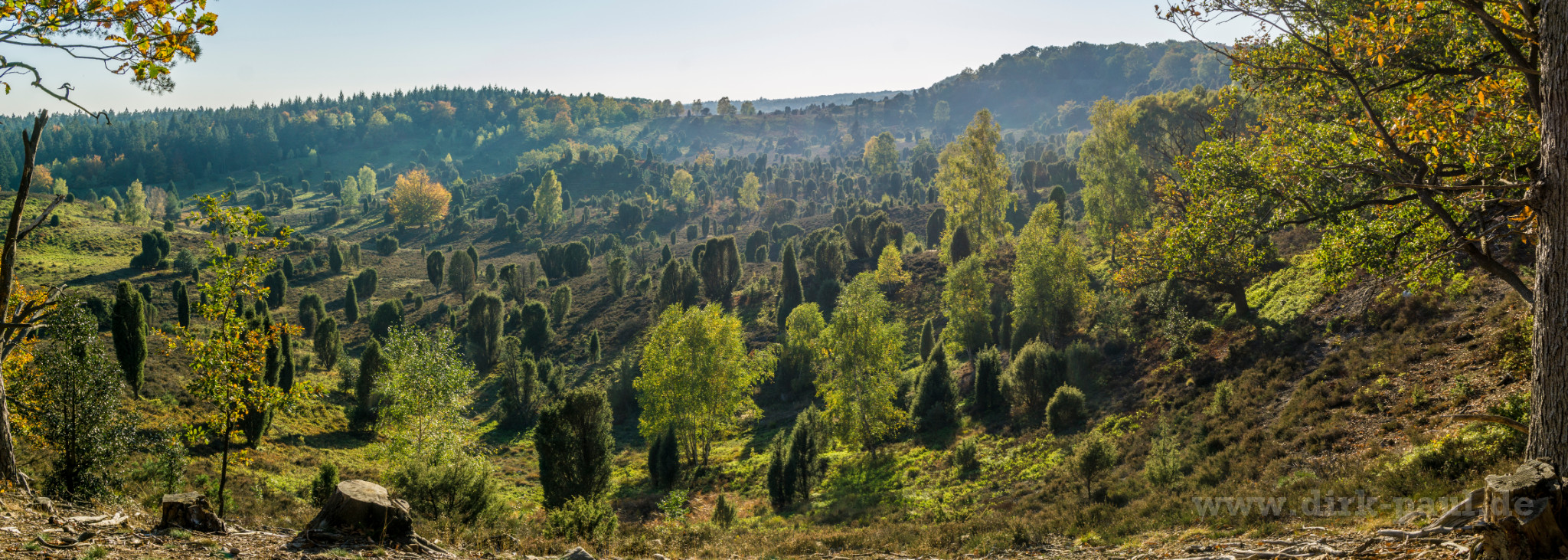  DSC4426-Pano