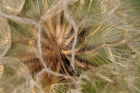 Copyright 2013 by Dirk Paul