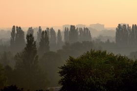 Hamburg Copyright 2012 by Dirk Paul