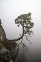 Bastei, Copyright 2017 by Dirk Paul : Bastei, Elbsandsteingebirge