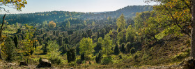 Lüneburger Heide, Totengrund,  Copyright 2018 by Dirk Paul