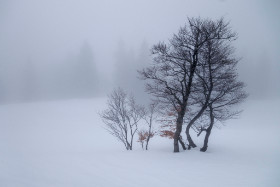 Balderschwang Copyright 2015 by Dirk Paul : 2015, Balderschwang, Bayern, Oberallgäu