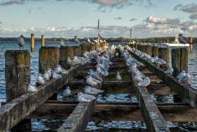 Lübeck-Travemünde, Copyright 2017 by Dirk Paul