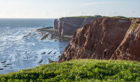 das Steilufer - Helgoland - Copyright by Dirk Paul : 2017, Helgoland