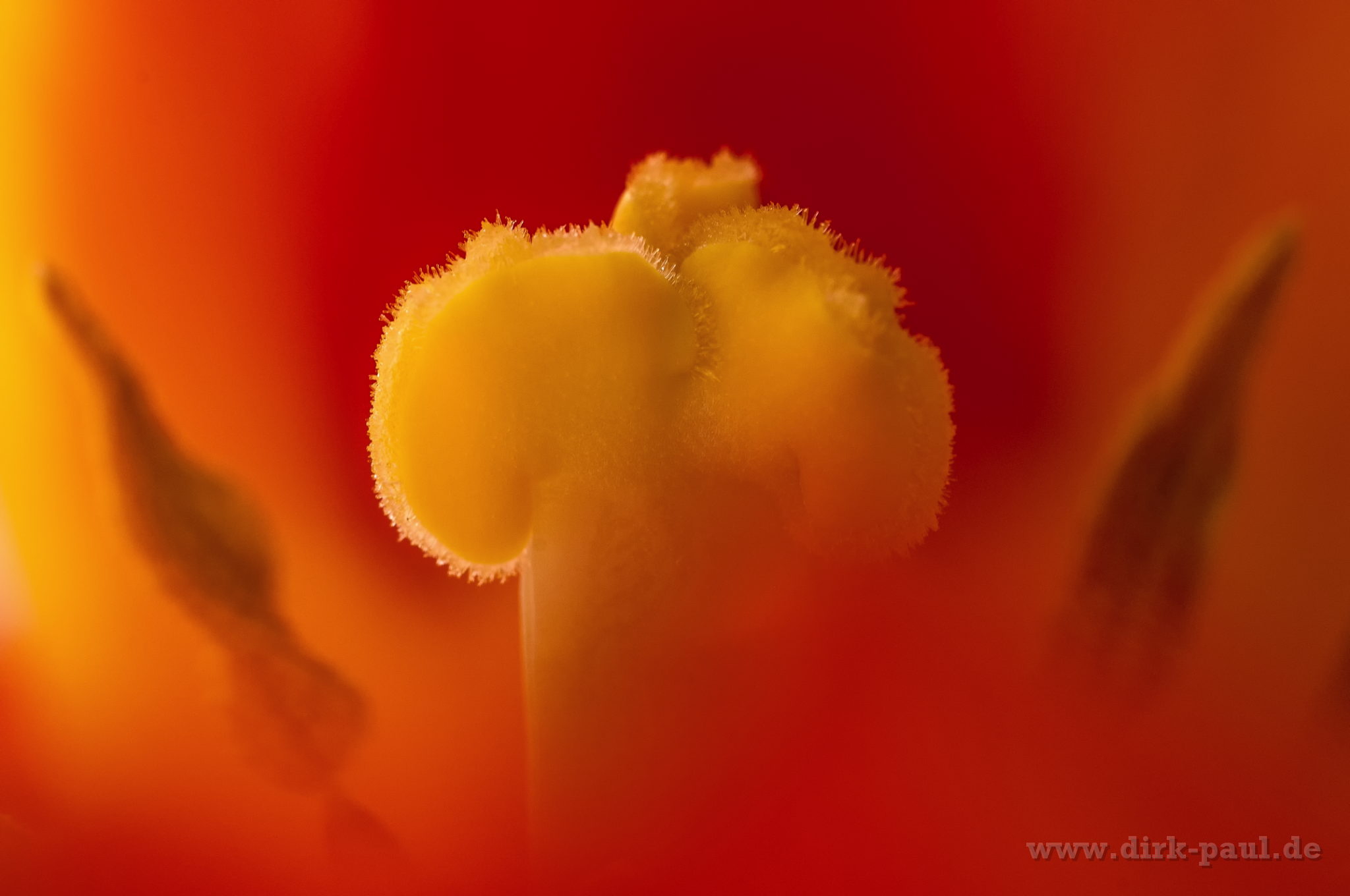 DP2 1374-Bearbeitet-1