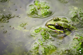 Copyright 2009 Dirk Paul