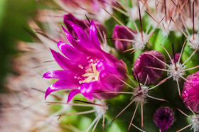 Copyright 2013 by Dirk Paul