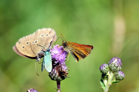 Copyright 2013 by Dirk Paul