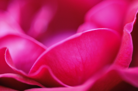 Copyright 2013 by Dirk Paul