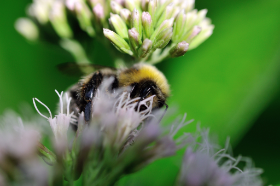 Copyright 2013 by Dirk Paul