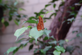 Copyright by Dirk Paul