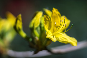 Auf dem Ohlsdorfer Friedhof - Copyright by Dirk Paul