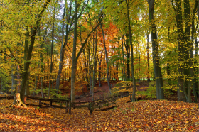 Copyright by Dirk Paul