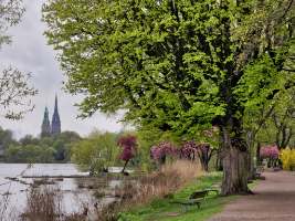 Außenalster,  Copyright 2025 by Dirk Paul