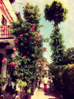 Hamburg Blankenese 2013  Copyright by Dirk Paul