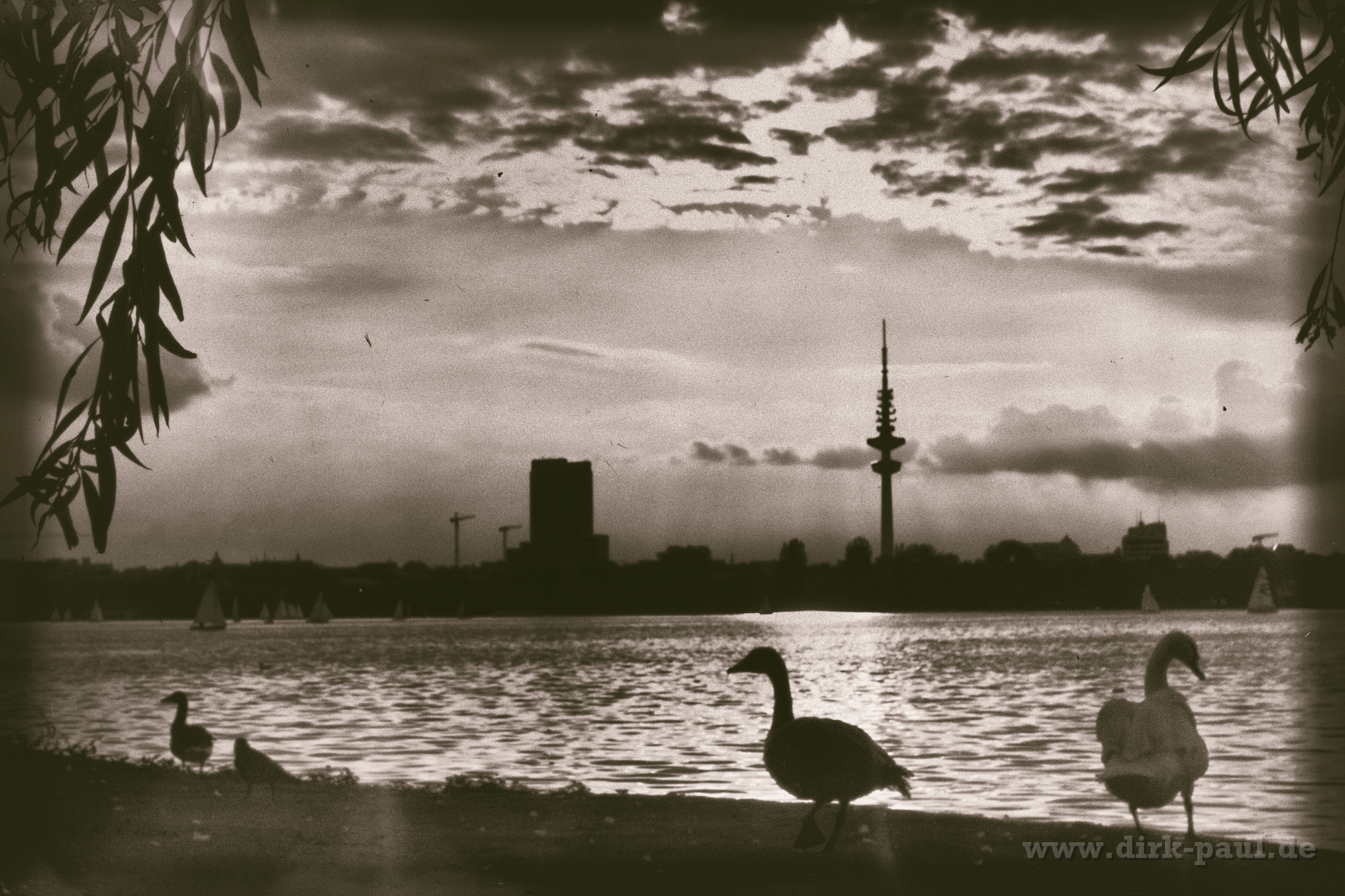 DSC00894-Bearbeitet-Bearbeitet-Bearbeitet-5