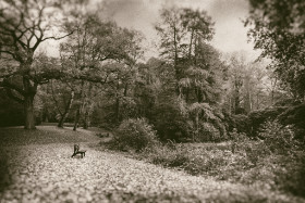 Ohlsdorfer Friedhof Copyright 2013 by Dirk Paul